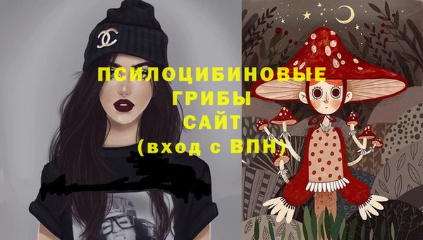 прущая мука Пересвет